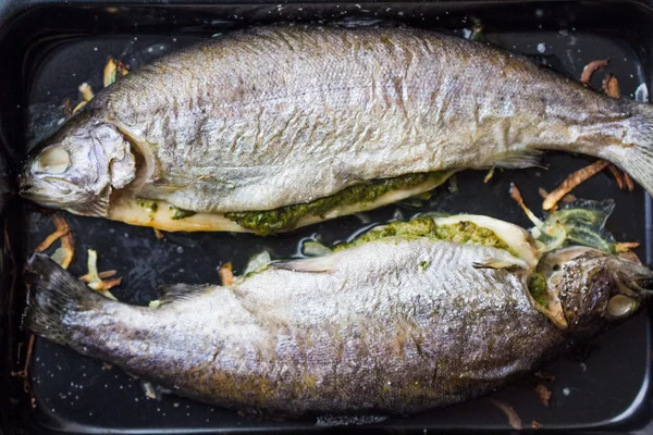 Koken twee vis, regenboog forel gevuld met groene saus en haar — Stockfoto