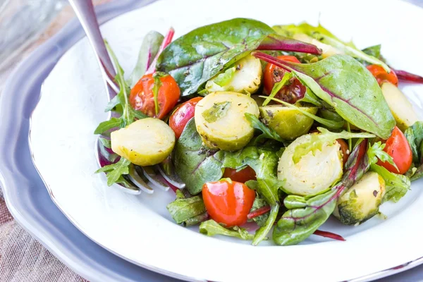 Gezonde salade met spruiten kool, tomaten, salade, r — Stockfoto