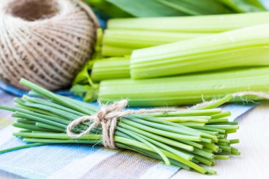 Yeşil bahar yay chives bir avuç sebze kurdele ile bağlanmış