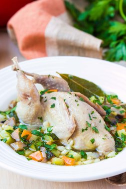 bıldırcın, sebze, inci arpa, otlar, lezzetli m yaz çorbası