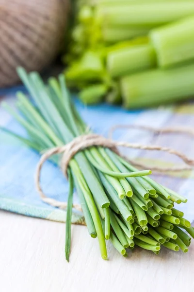 Ramo de cebolletas verdes de primavera lazo atado con cinta, verduras —  Fotos de Stock