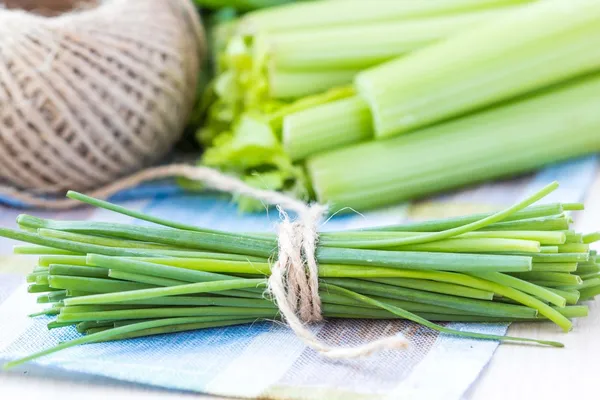 Ramo de cebolletas verdes de primavera lazo atado con cinta, verduras —  Fotos de Stock