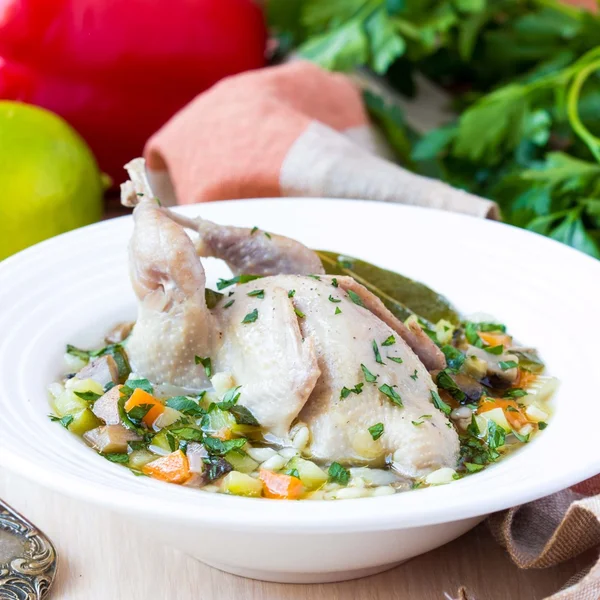 Zomer soep met kwartel, groenten, Alkmaarse gort, kruiden, smakelijke m — Stockfoto