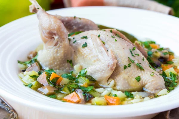 Summer soup with quail, vegetables, pearl barley, herbs, tasty m — Stock Photo, Image