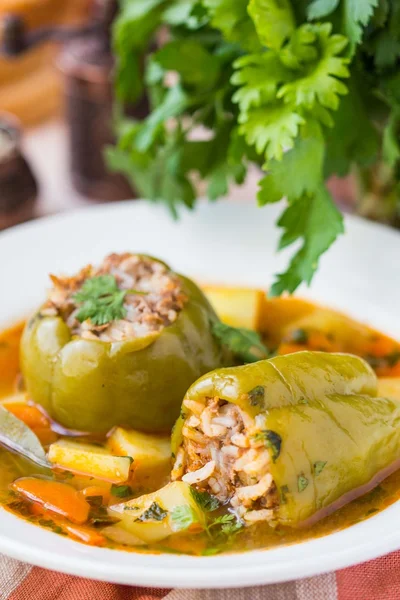 Soup with peppers stuffed meat and rice,  dolma shurpa, sorba — Stock Photo, Image