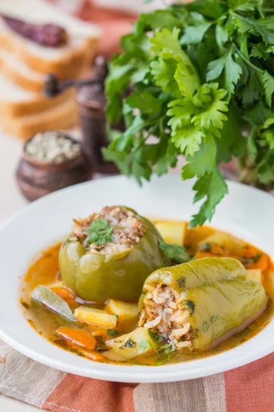 Soup with peppers stuffed meat and rice,  dolma shurpa, sorba — Stock Photo, Image