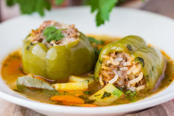 Soup with peppers stuffed meat and rice,  dolma shurpa, sorba — Stock Photo, Image