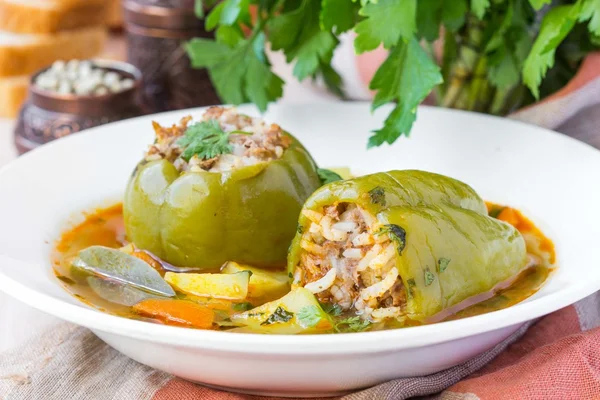 Soup with peppers stuffed meat and rice,  dolma shurpa, sorba — Stock Photo, Image