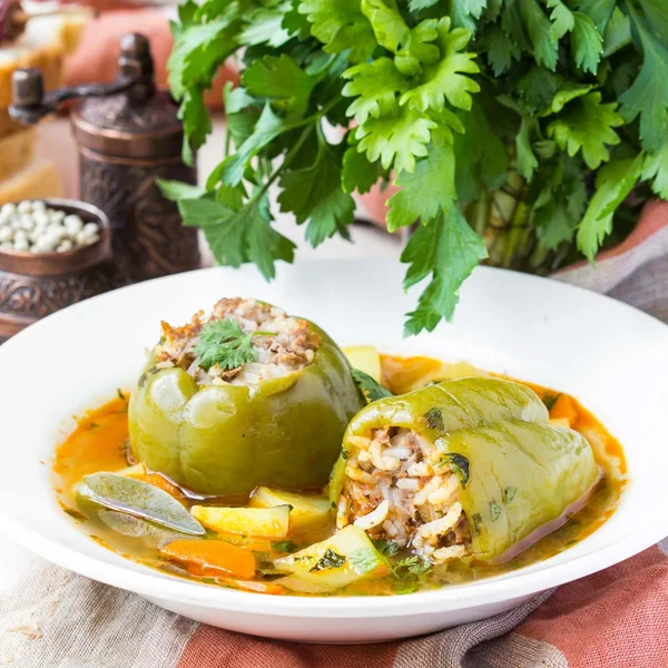 Soup with peppers stuffed meat and rice,  dolma shurpa, sorba — Stock Photo, Image