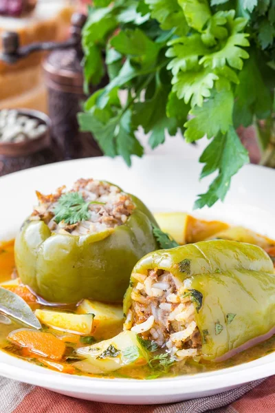 Soup with peppers stuffed meat and rice,  dolma shurpa, sorba — Stock Photo, Image