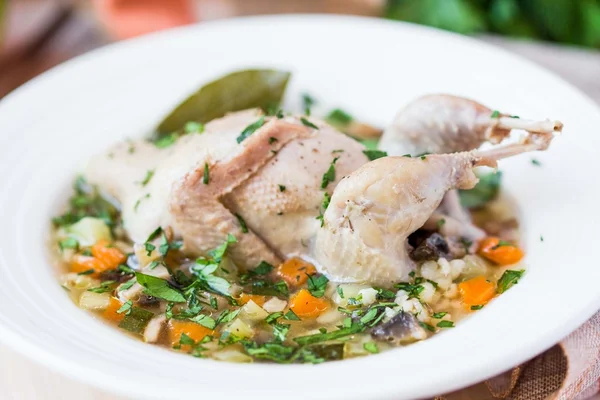 Summer soup with quail, vegetables, pearl barley, herbs, tasty m — Stock Image Summer soup with quail, vegetables, pearl barley, herbs, tasty m Stock Image