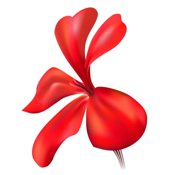 Flor de malva realista roja — Vector de stock