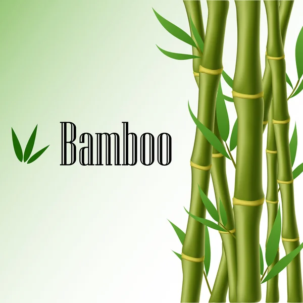 Bambu textram — Stock vektor