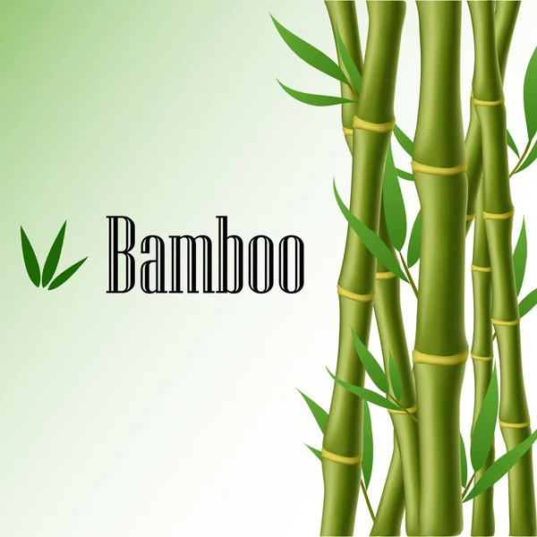 Bamboo text frame — Stock Vector