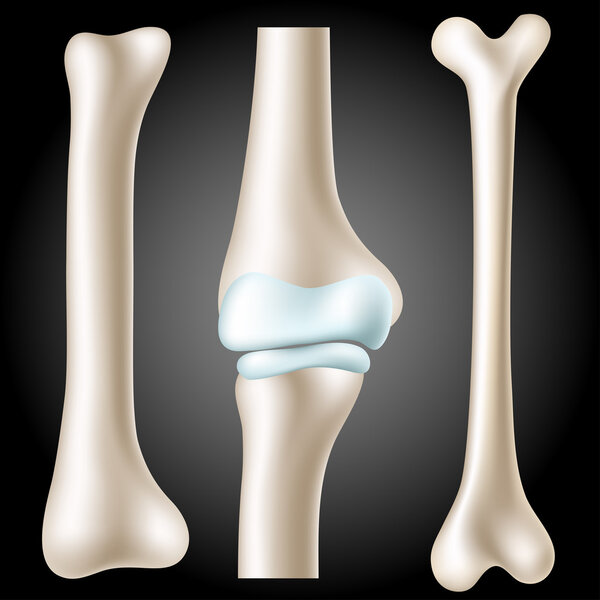 Реалистичный набор костей
