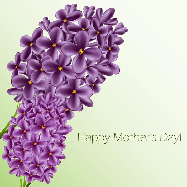 Mothers day card with lilac — Stock Vector