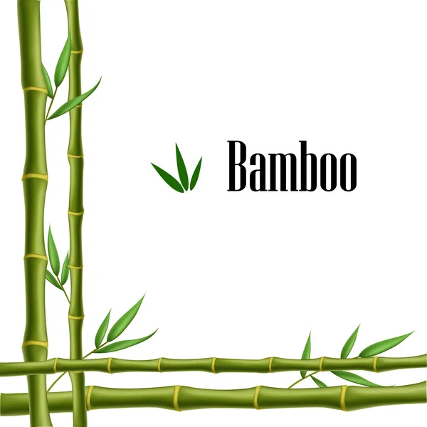 Bamboo frame — Stock Vector