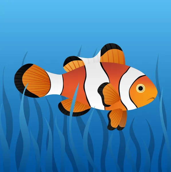 Pesce pagliaccio — Vettoriale Stock