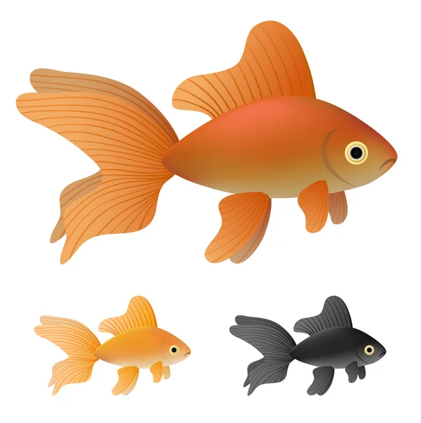 Goldfish set — Stok Vektör