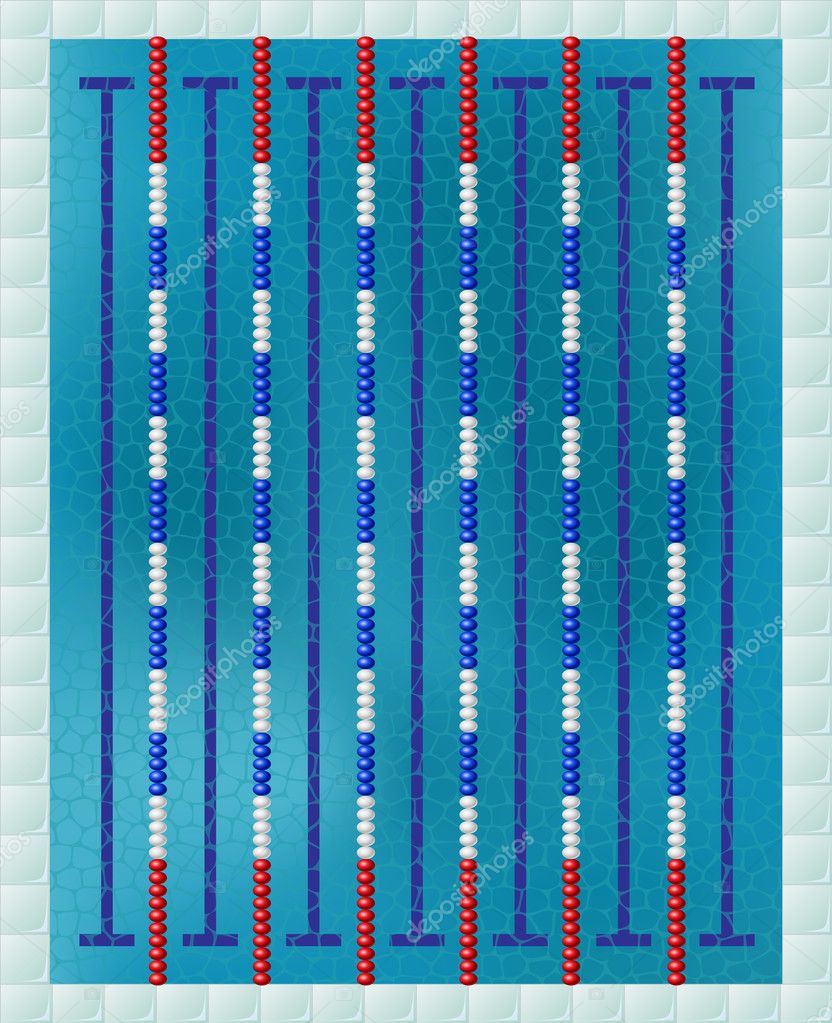 Sport Swimming Pool Vector Image By C Helioshammer Vector Stock 28791397