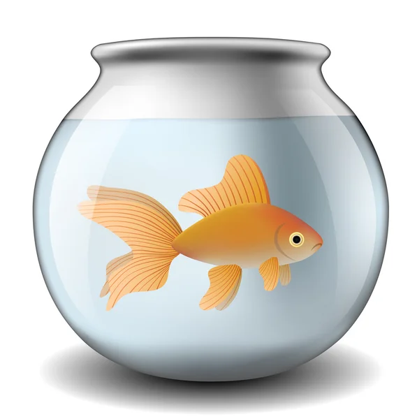 Akvárium se zlatými rybičkami — Stockový vektor