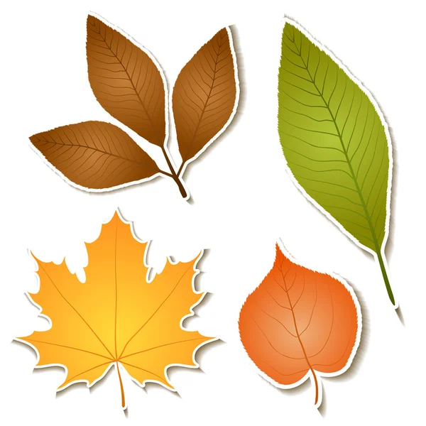 Podzimní listí samolepka sada — Stockový vektor