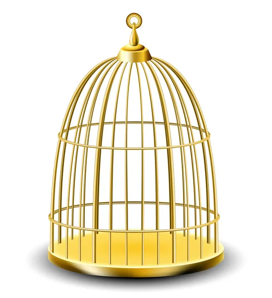 Jaula de aves doradas — Vector de stock