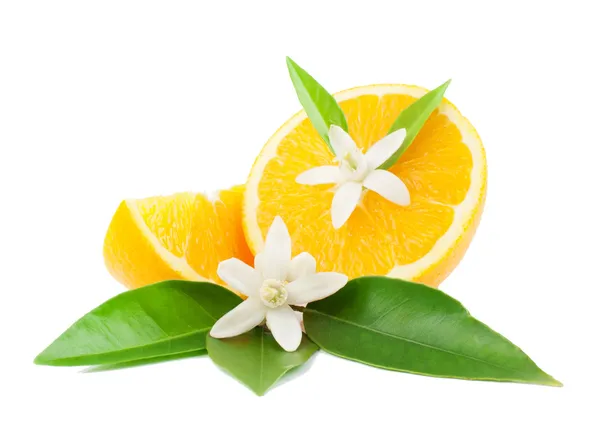 Naranja y flor — Foto de Stock