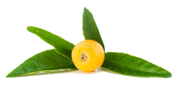 Frutta Loquat nespola — Foto Stock