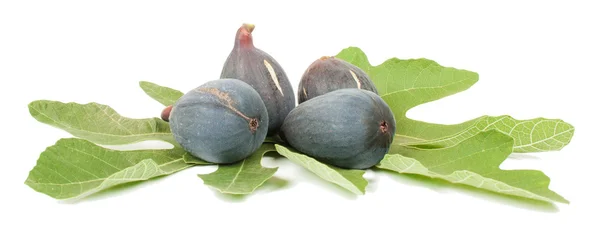 Purple fig — Stock Photo, Image