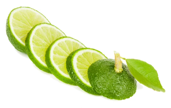 Lime skiva — Stockfoto