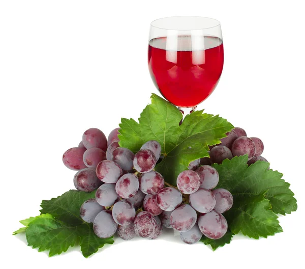 Trauben und Wein — Stockfoto