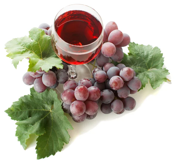 Wine and grape — Stock Photo, Image