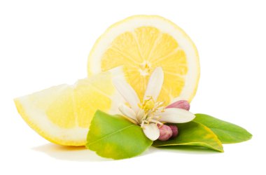 Lemon with a flower and leaves clipart