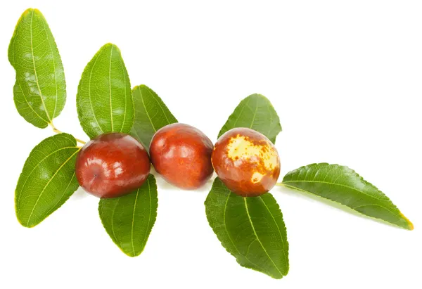 Jujube — Stock Photo, Image