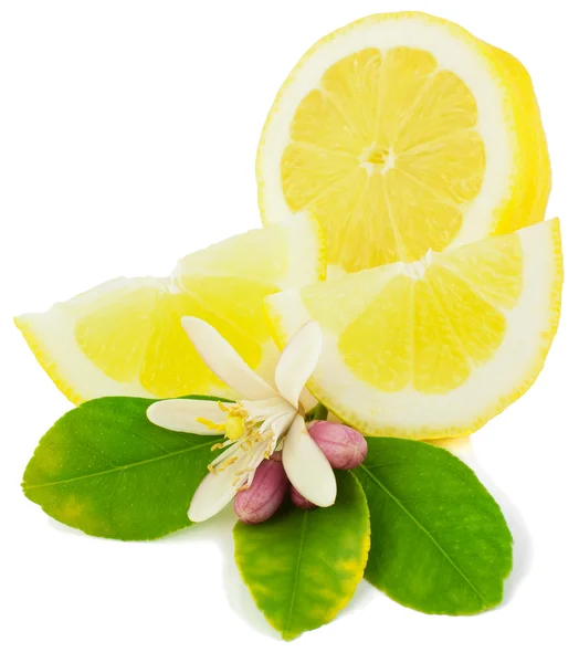 Лимон и цветы — стоковое фото