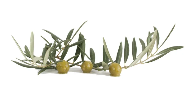 Olive — Foto Stock