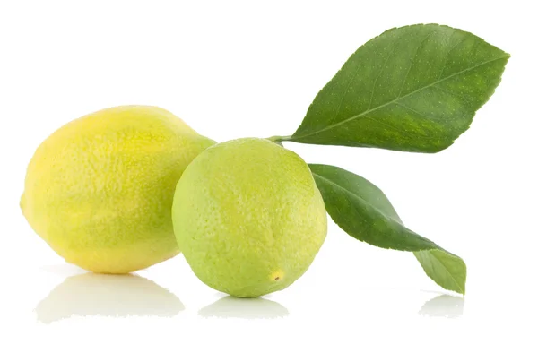 Limones. — Foto de Stock