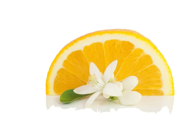 Orange, flower and slice. — Stock Photo, Image