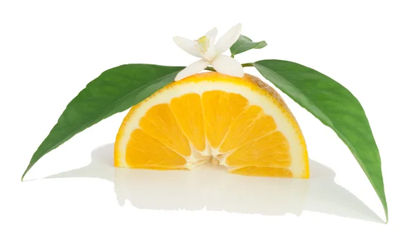 Orange, flower and slice. — Stock Photo, Image