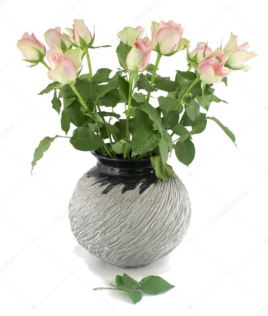 Pink roses in a vase.