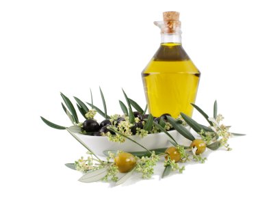 zeytin, yağ ve bir zeytin ağacı çiçek açması Şubesi.