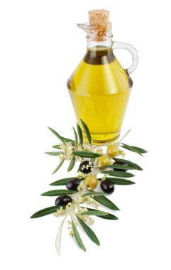 zeytin, petrol ve çiçek şube