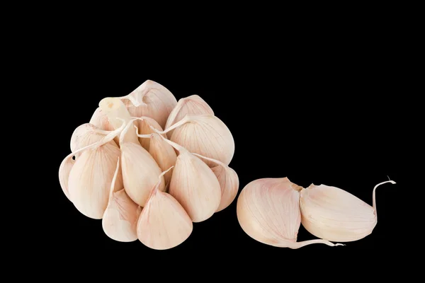 Garlic bulb and cloves — Stock Photo, Image