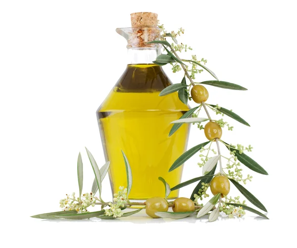 Aceitunas, aceite y una rama floreciente de un olivo . — Foto de Stock