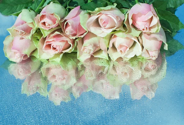 Pink roses on a mirror — Stock Photo, Image