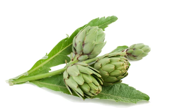 Artichoke — Stock Photo, Image