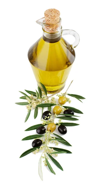 Olive, olio e un ramo fiorente di un ulivo . — Foto Stock