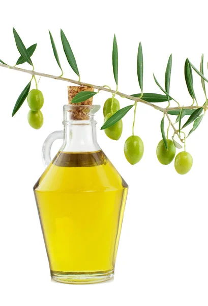 Olive oil and branch of an olive tree — Stock Photo, Image