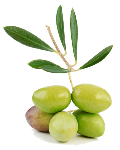 Fresh olives — Stock Photo, Image